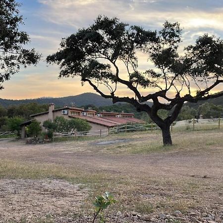 La Calera Apartamentos Rurales En Plena Sierra מראה חיצוני תמונה