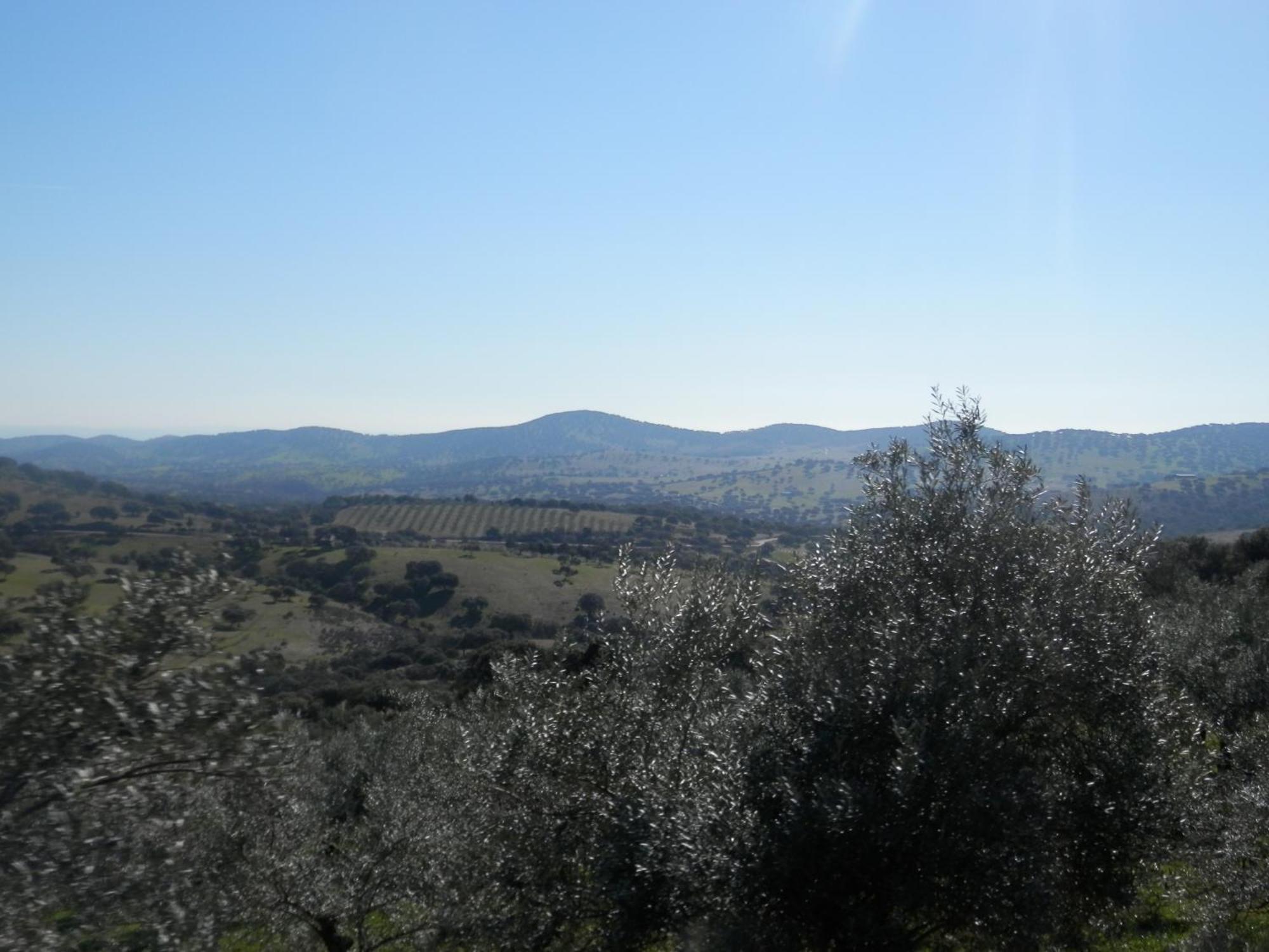 La Calera Apartamentos Rurales En Plena Sierra מראה חיצוני תמונה
