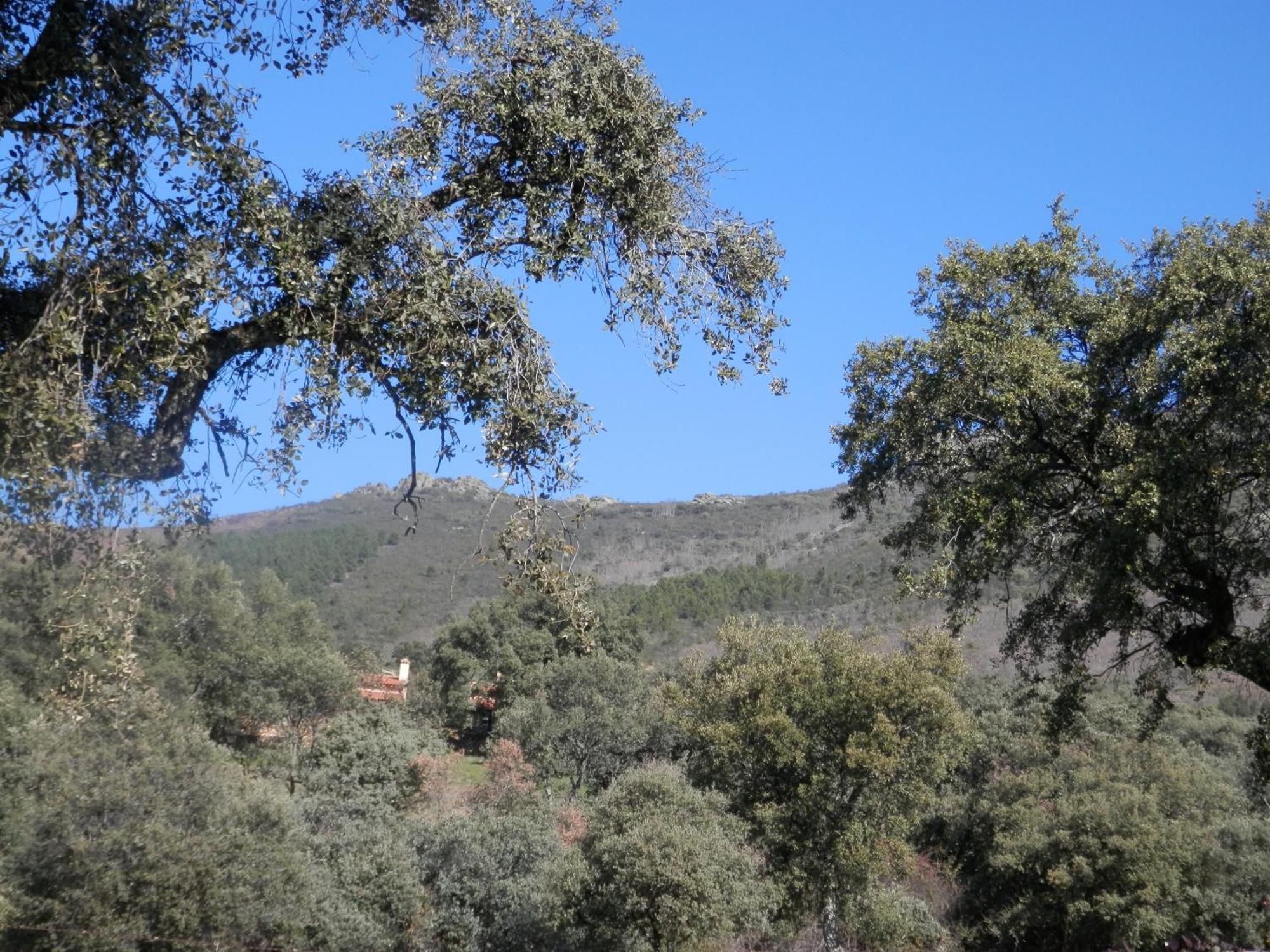 La Calera Apartamentos Rurales En Plena Sierra מראה חיצוני תמונה