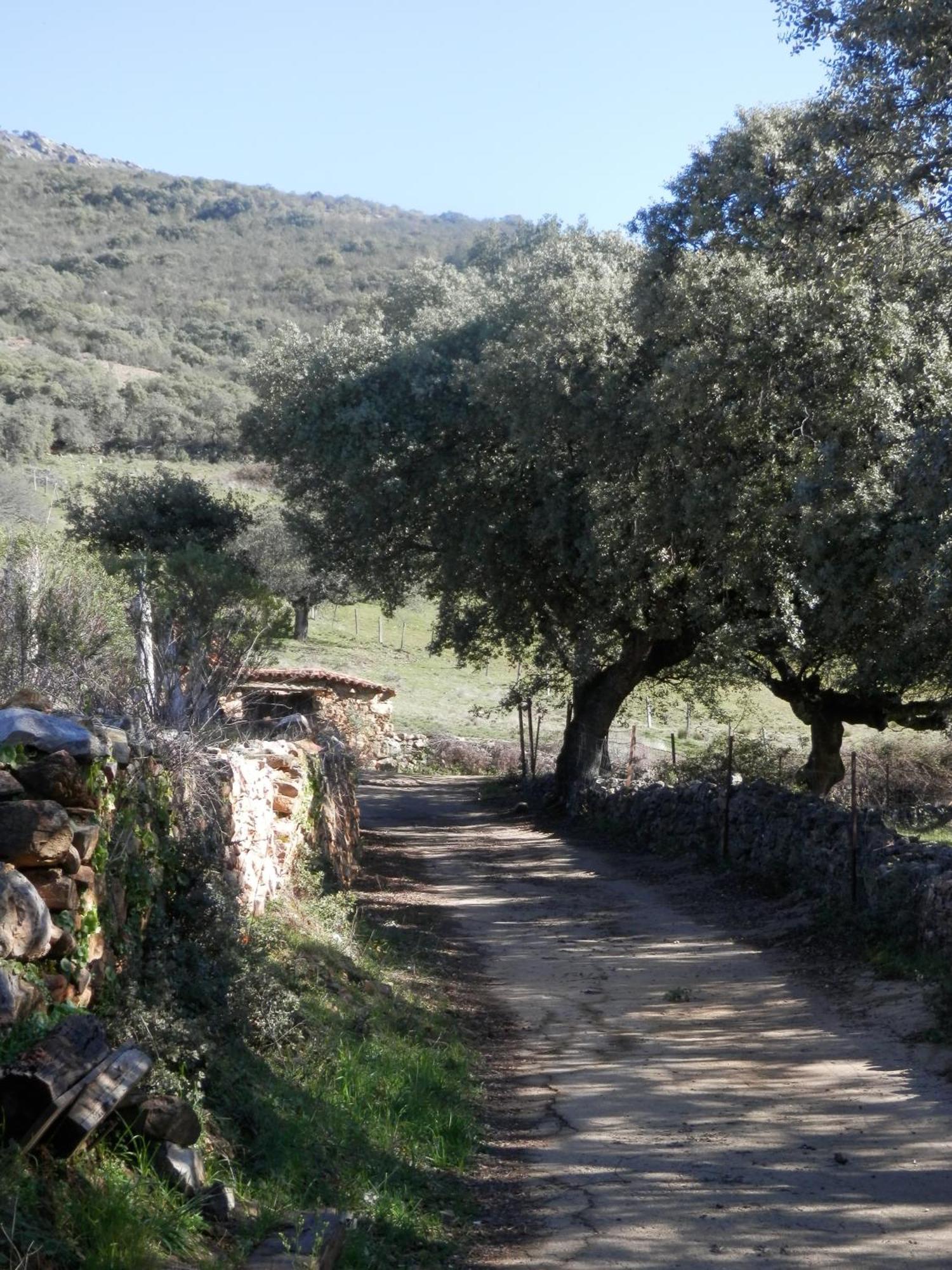 La Calera Apartamentos Rurales En Plena Sierra מראה חיצוני תמונה